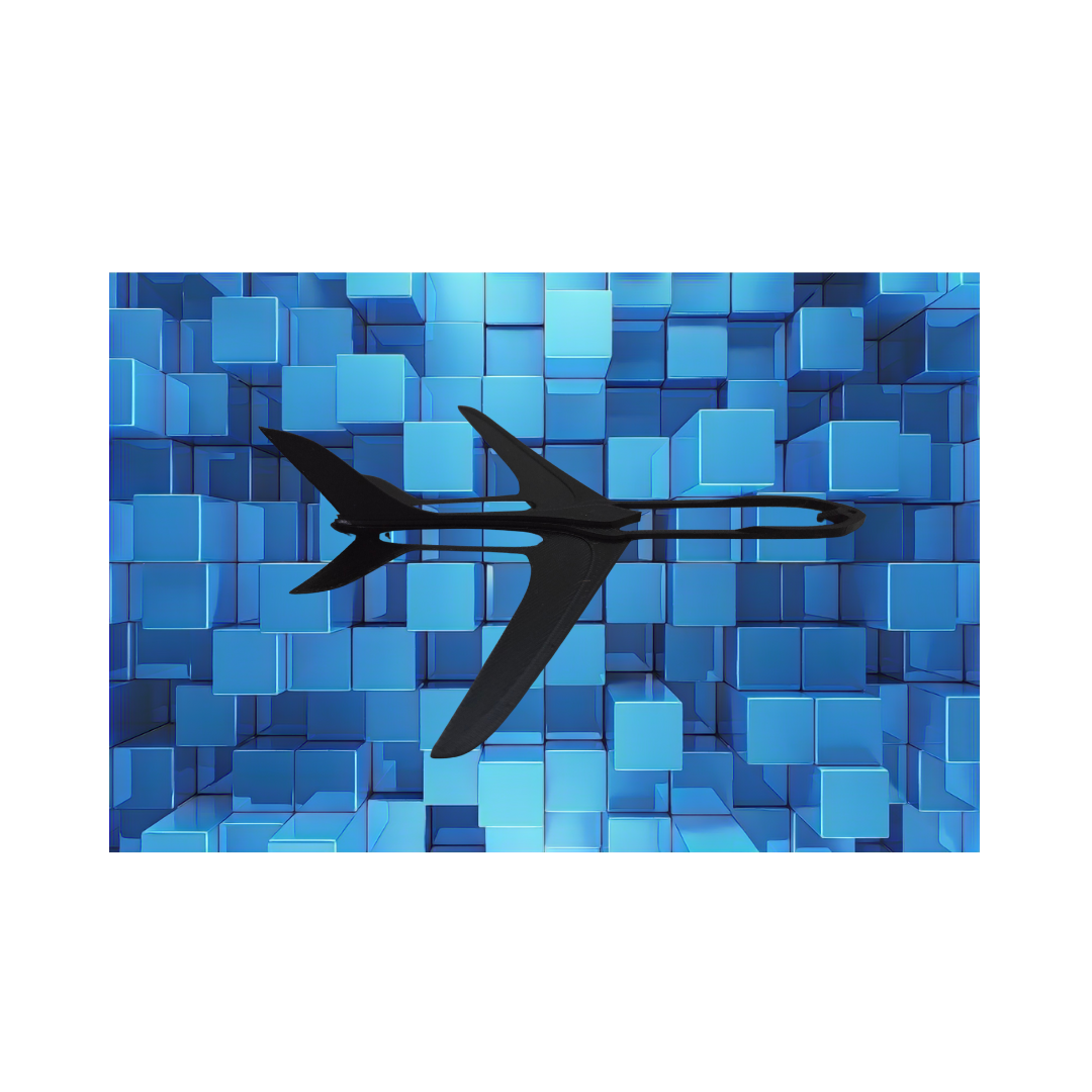 Glider plane ⚫🛩️