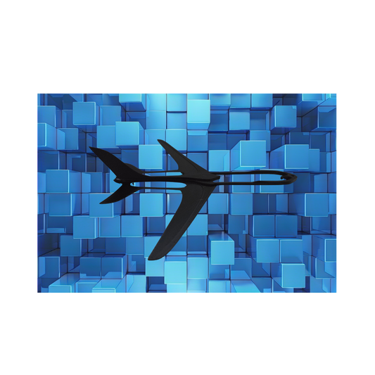 Glider plane ⚫🛩️